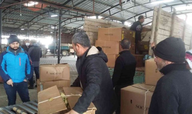 Manisa'da tütün alımlarına başlandı