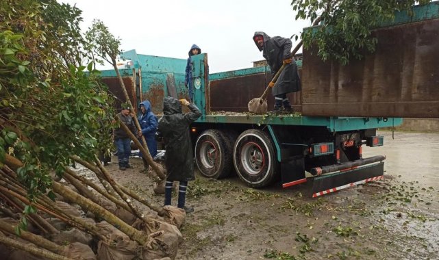 Manisa'nın yeşiline bin 110 ağaçlık katkı daha yapılacak