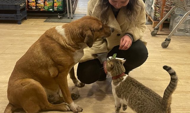 Mazlum ile Boncuk'un dostluğu