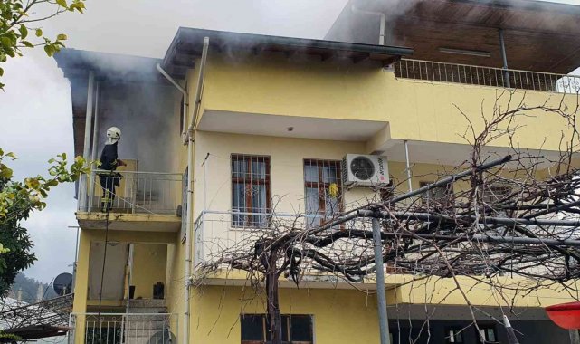 Menteşe ve Köyceğiz'de ev ve işyeri yangını