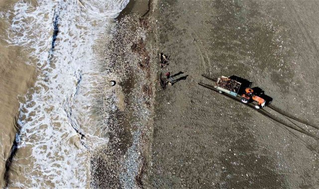 Mersin'de selin denize döktüğü odunlar kışlık yakacak için toplandı
