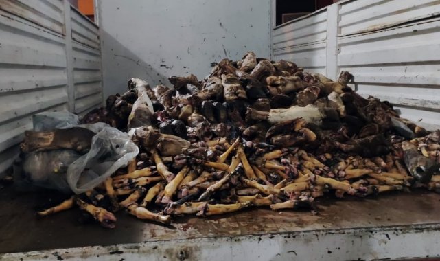 Mide bulandıran görüntü