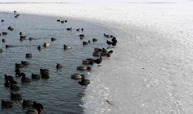 Mogan Gölü&#039;nde kartpostallık görüntüler oluştu