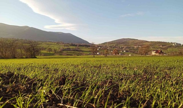 Müdür Sağlam&#039;dan çiftçilere &#039;tarım sigortası&#039; uyarısı