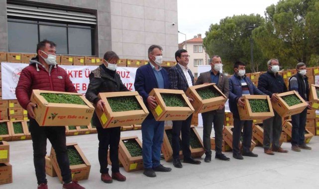 Muğla'da Nisan sonuna kadar 1 milyon 900 bin fide toprakla buluşacak