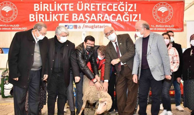 Muğla'ya ETAP Projesi kapsamında 20 milyonluk destek devam ediyor