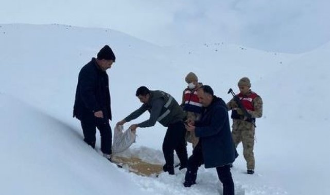 Muş'ta yaban hayvanlarına yem desteği