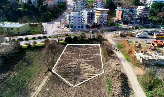 Mustafakemalpaşa aromatik bitkiler bölgesi oluyor