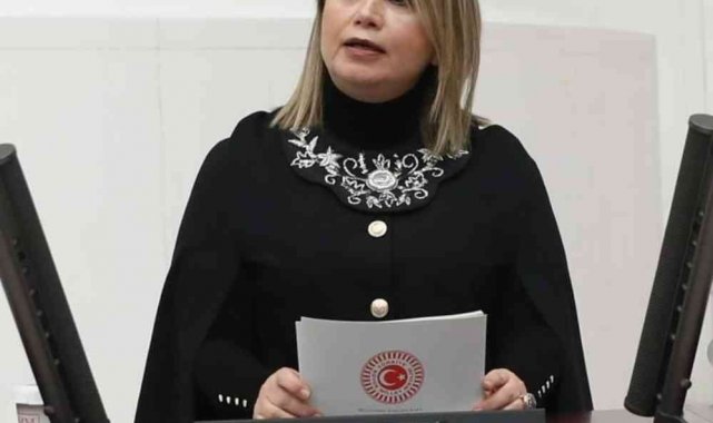 Mutlu Aydemir&#039;e TBMM &#039;de yeni görev