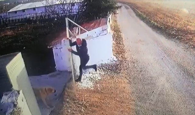 Öğretmene köpek saldırısı güvenlik kamerasında