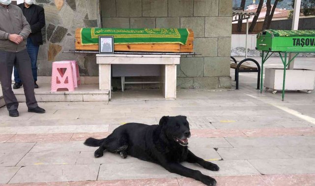 Ölen sahibinin tabutunun başından biran olsun ayrılmadı
