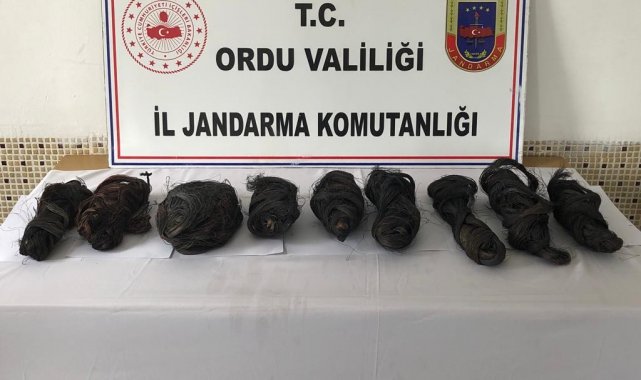 Ordu'da baz istasyonu, telefon ve elektrik kablo hırsızları yakalandı