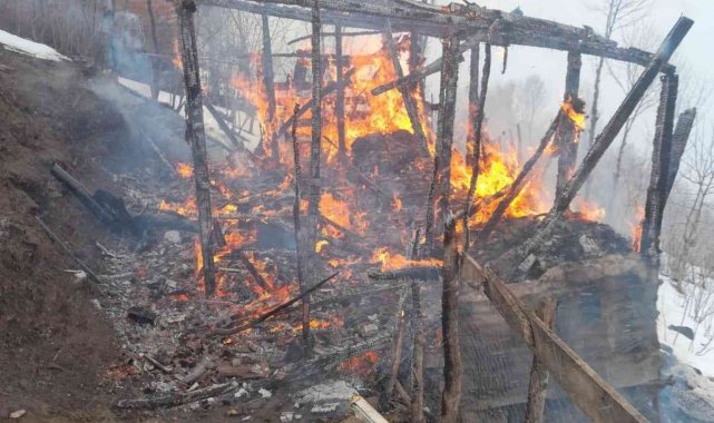 Ordu'da yangın: 2 çocuk hayatını kaybetti