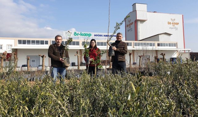 ÖRKOOP&#039;tan bölge tarımına kaliteli fidan desteği
