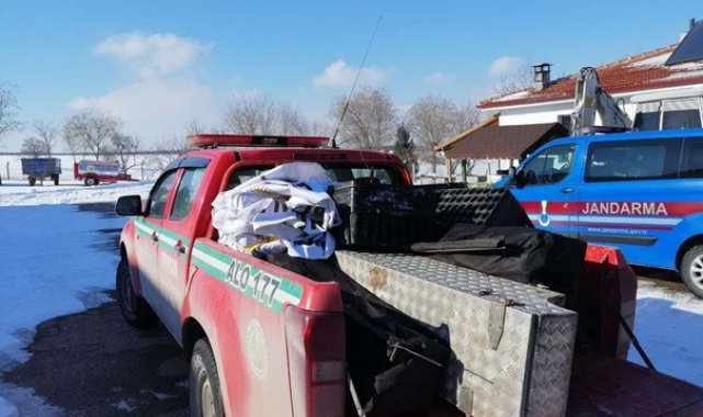 Orman işletmesinden hırsızlık yapan 3 şüpheli tutuklandı