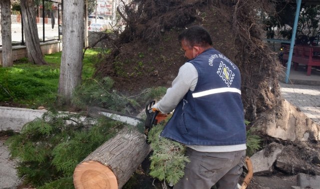 Osmaniye'de fırtına sonrası temizlik çalışmaları sürüyor