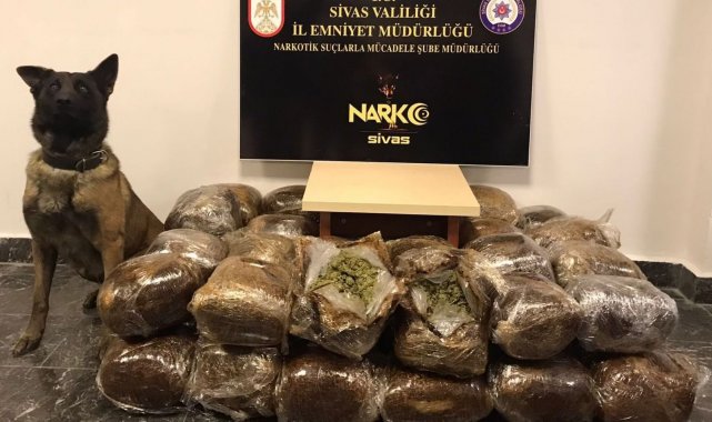 Otobüste 57 kilo 300 gram esrar ele geçirildi