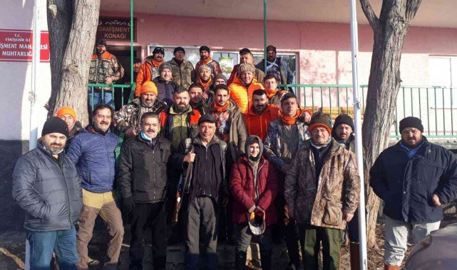 Pandemi yaban domuzlarına yaradı