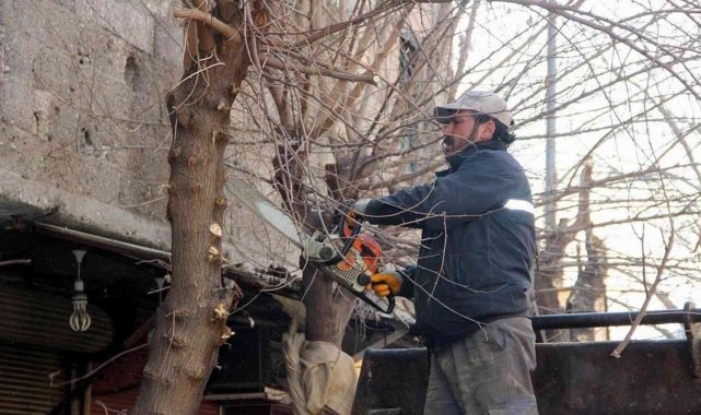 Parklar, refüjler, bulvarlar güzelleştiriliyor