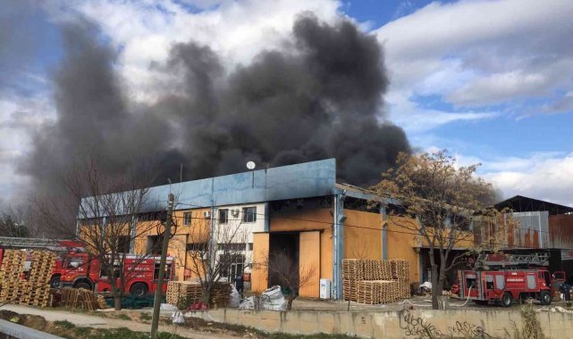 Plastik kasa fabrikasında yangın