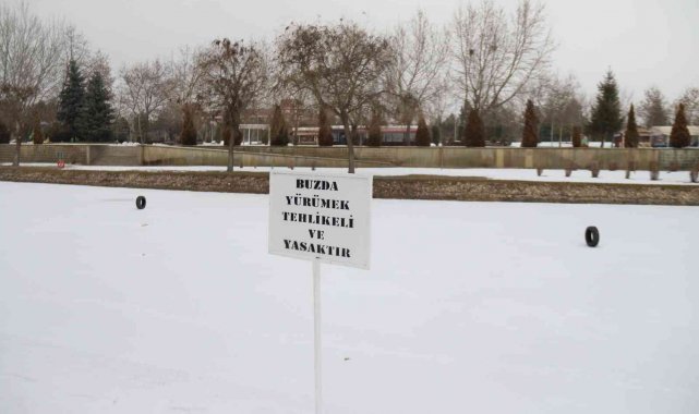 Porsuk'ta ilginç görüntü