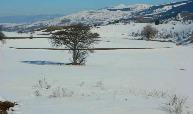 Posof'ta göller dondu
