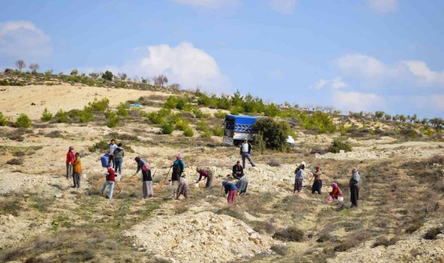 "Aroma Tadında Orman" dikimi tamamlandı