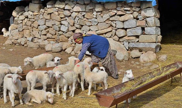 &quot;Mera İzmir&quot; projesi üreticiyi memnun etti: 258 çobanla yüksek fiyattan süt alım anlaşması