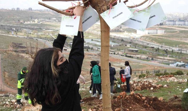 Şahinbey'de 26 bin ağaç dikilecek