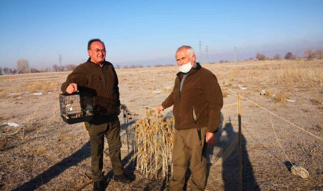 Saka avcısına suçüstü