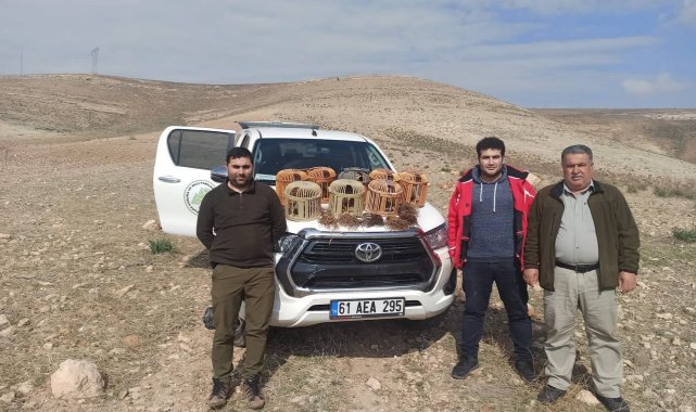 Şanlıurfa'da kaçak avlanan 7 kişiye işlem yapıldı