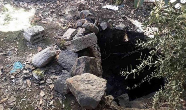 Şanlıurfa'da kaçak kazıya 4 gözaltı