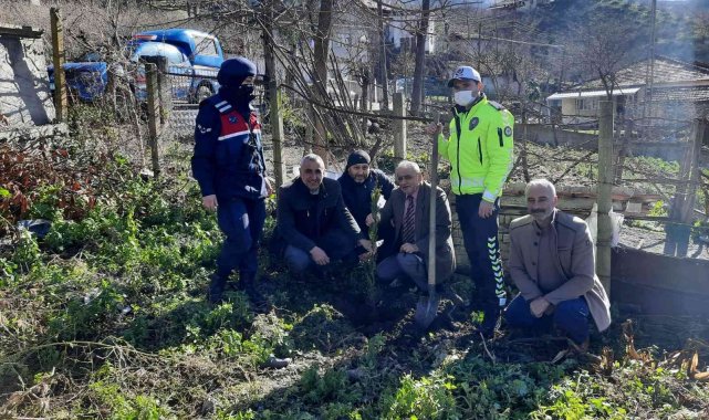Şehit babası 3 binin üzerinde fidan dikti