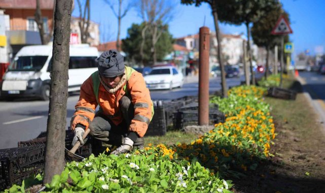 Şehrin sokakları rengarenk çiçek bahçesine dönüşüyor