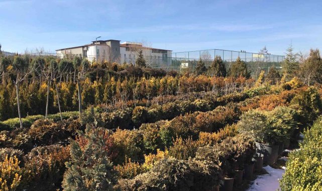 Sevgililer Günü&#039;nde hem kalıcı hem anlamlı hediye