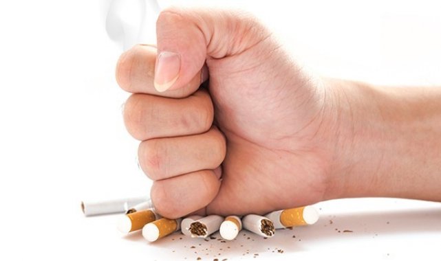 Sigara bırakmak isteyenlere nikotin alternatifi; Patlıcan