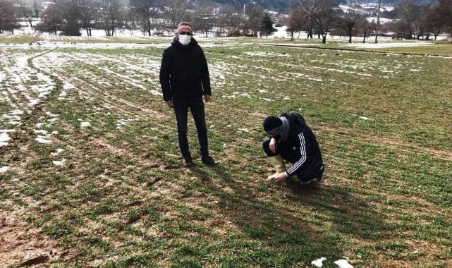 Simav'da hububat ekili alalarda fonolojik gözlem çalışması