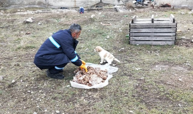 Sincan Belediyesi'nden sokak hayvanlarına mama takviyesi