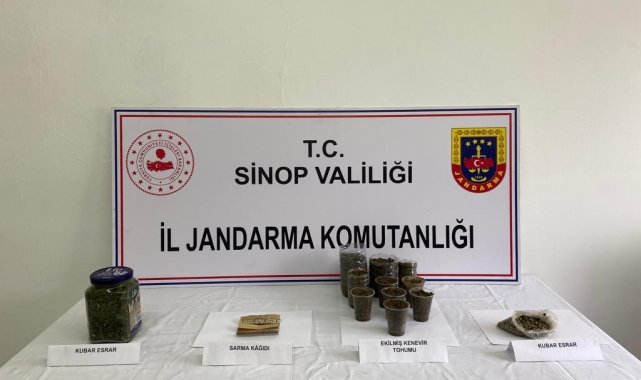 Sinop'ta uyuşturucu üretip ticaretini yapan 1 kişi tutuklandı