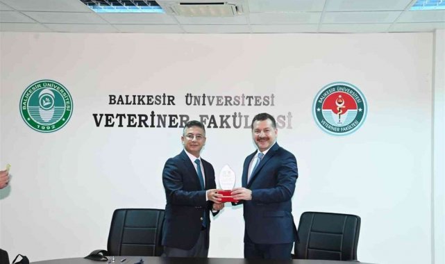Sokak hayvanları için güç birliği