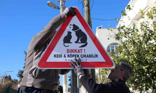 Sokak hayvanları için tabelalar Bodrum'un dört bir yanına takıldı
