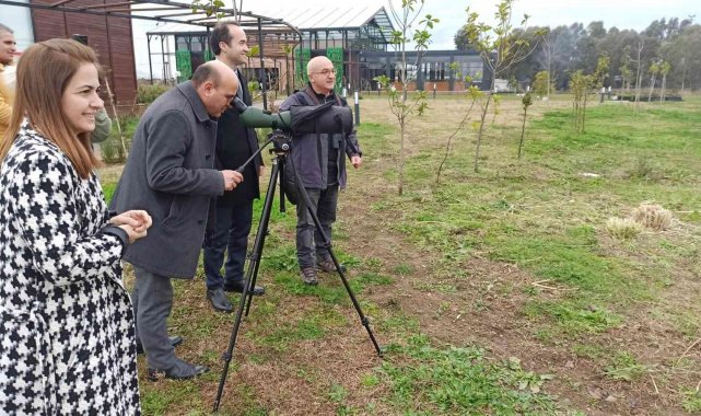 Sulak Alan Gününde Hersek Lagününde 6316 kuş gözlenerek kayıtlara geçirildi
