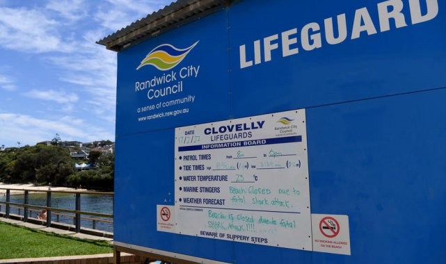 Sydney'de 1963'ten bu yana ilk ölümcül köpekbalığı saldırısı