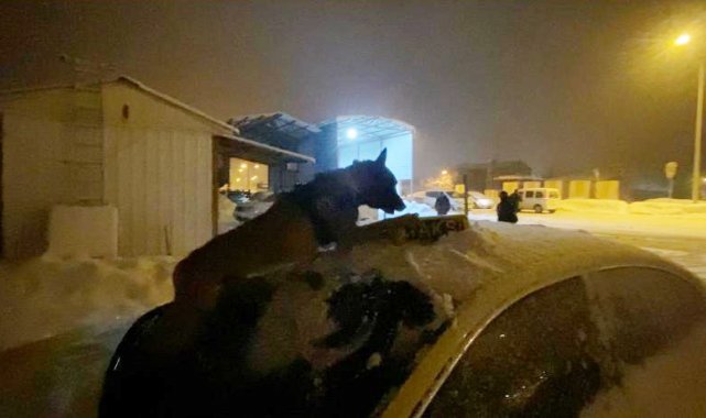 Taksinin tepe lambasını uyuşturucu zulasına çeviren 4 kişi yakalandı