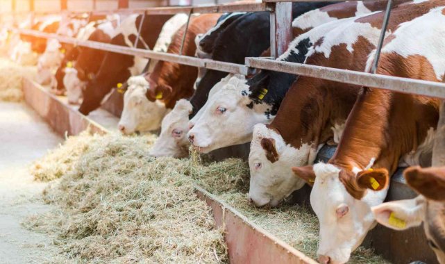 TARSİM: "Yetiştiricilere 2,5 milyar TL hasar ödemesi yapıldı"