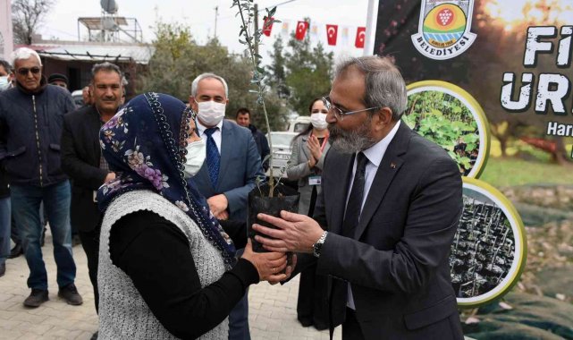 Tarsus Belediyesi, 24 mahallede üreticilere ücretsiz fidan dağıttı