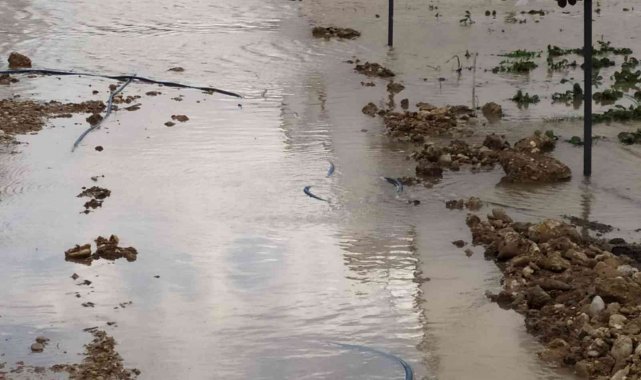 Taşan dereler, 55 dekar çilek serasını sular altında bıraktı