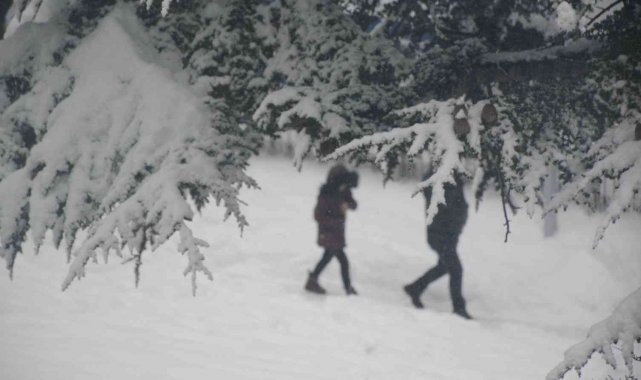 Tatvan'da kar yeniden etkisini gösterdi