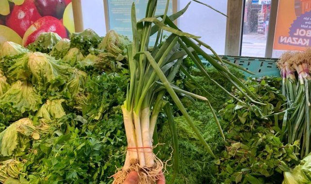 Taze soğanın tek bir dal fiyatı nerdeyse 1 lirayı buldu