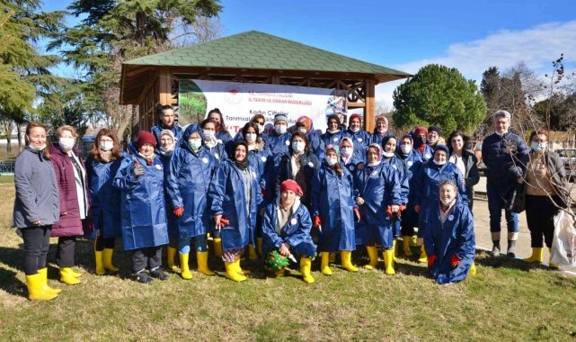Tekirdağ bağları kadın eliyle güzelleşiyor